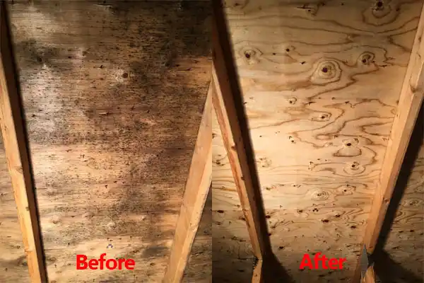 water damage restoration service Waterville